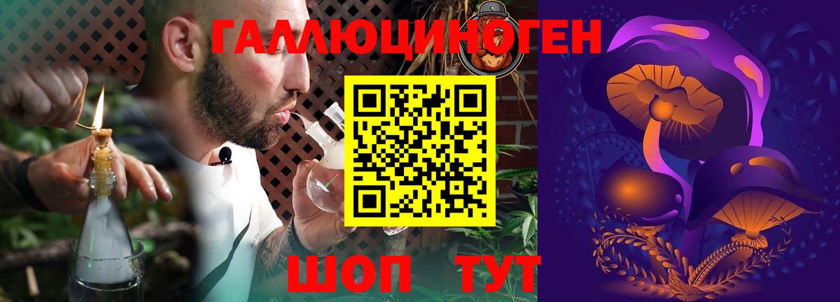 Карабулак  Псилоцибиновые грибы Psilocybe  Вход с VPN 